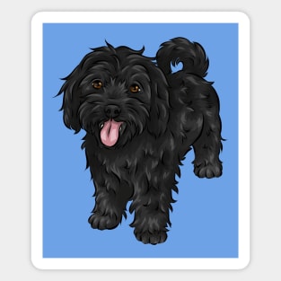 Cute Black Cavapoo Dog Magnet
